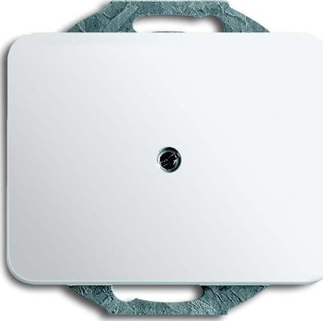 Produktbild Busch-Jaeger Zentralscheibe