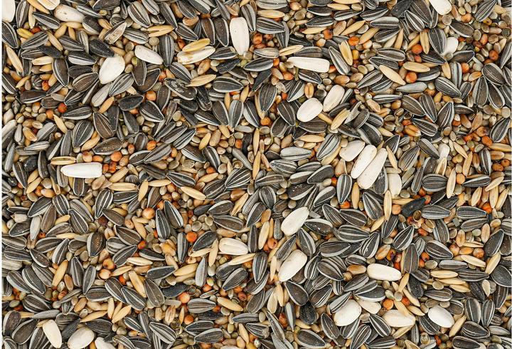 Actual product image Schweizer Classic 5 (1 x, 5 kg)