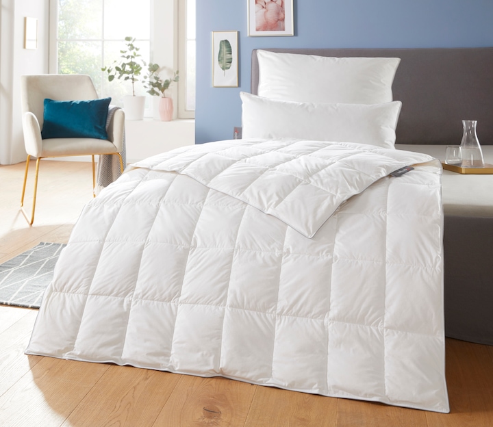 Produktbild Badenia Trendline Daunendecke Comfort leicht (380 g, 155 x 220 cm)