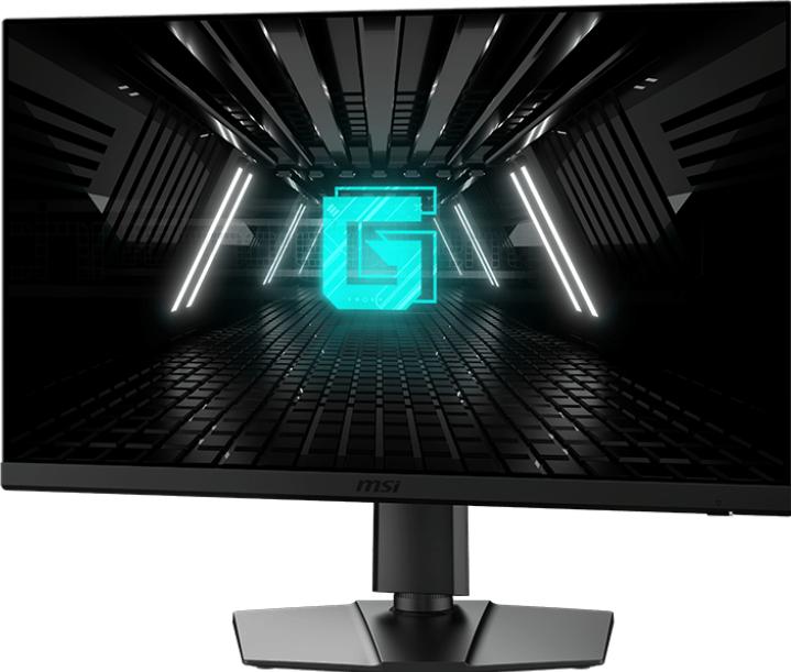Actual product image MSI G272QPF E2 (2560 x 1440 pixels, 27")