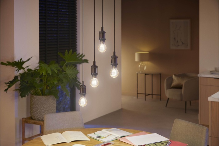 Actual product image Philips Hue Philips E27 single pack filament (E27, 7 W, 550 lm, 1 x, G)