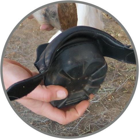 Produktbild Easyboot Mini Hufschuh