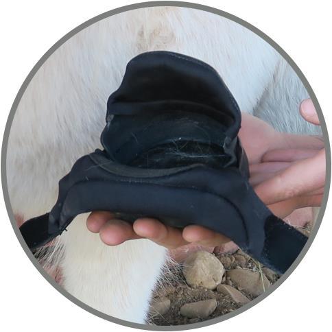 Produktbild Easyboot Mini Hufschuh