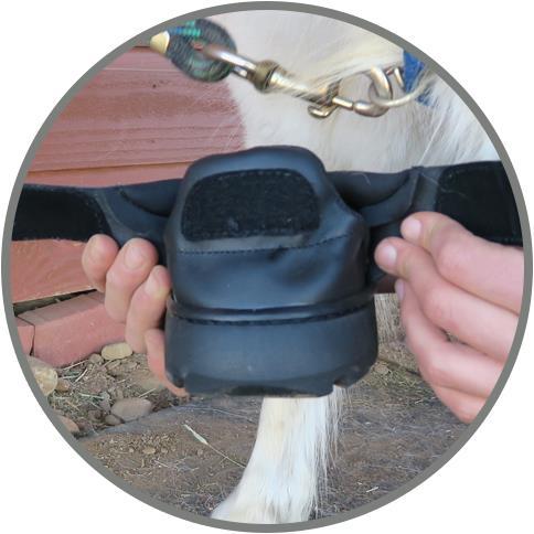 Produktbild Easyboot Mini Hufschuh