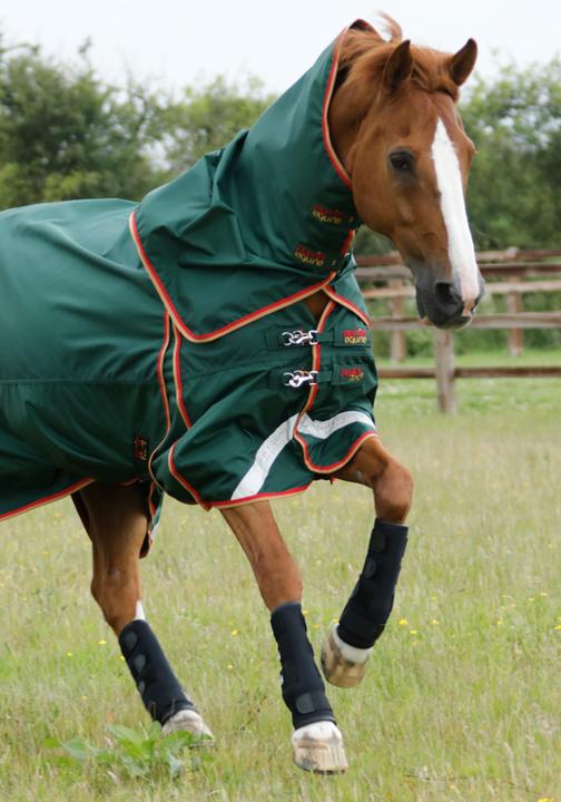 Produktbild Premier Equine Weidegamaschen