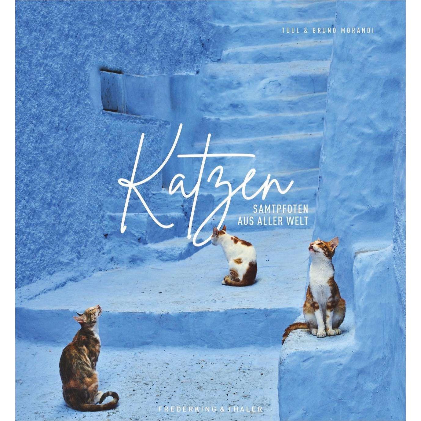 Katzen, Ratgeber von Bruno Morandi