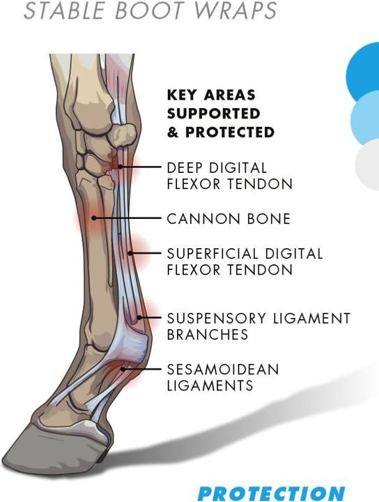 Produktbild Premier Equine Stallgamaschen Air Tech