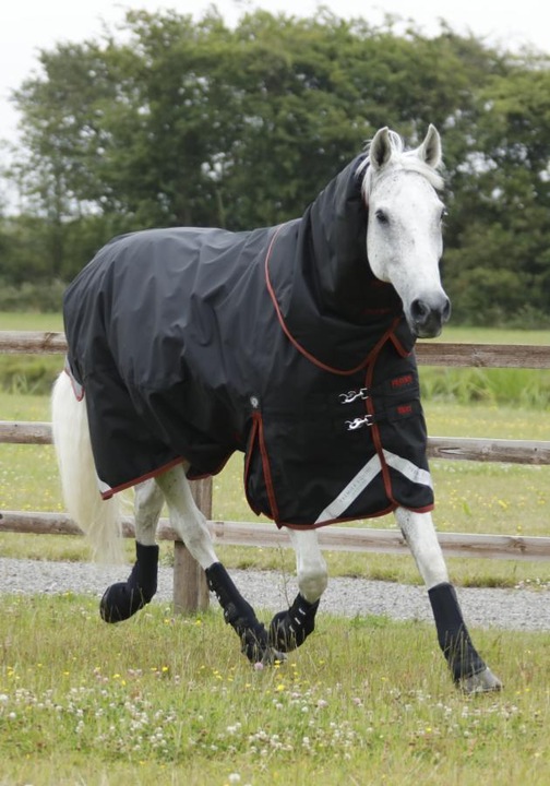 Actual product image Premier Equine Willow- Maukenschutzgamaschen