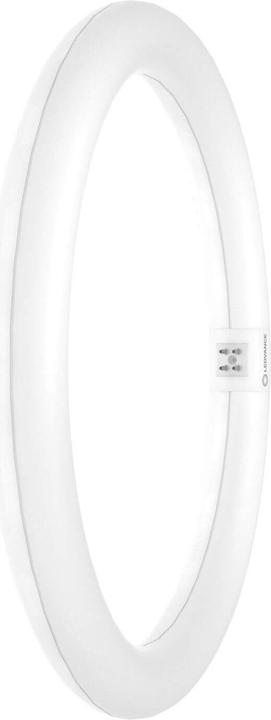 Image du produit Ledvance Tube annulaire à LEDT9C (G10q, 18.30 W, 2000 lm, 1 x, F)