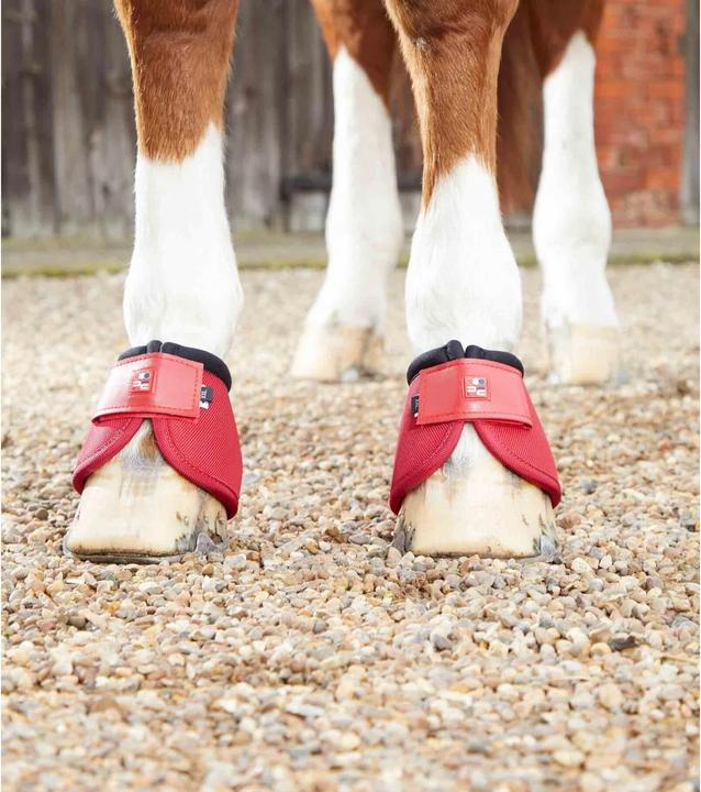 Produktbild Premier Equine Ballistic (M)