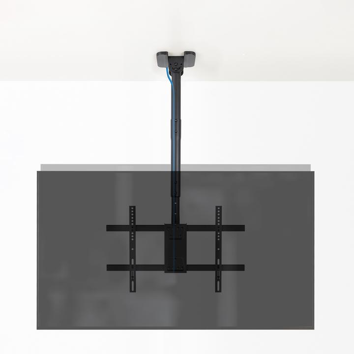 Actual product image Tooq Technology Ceiling Mount for 2 Screens 43‘-86’, Black