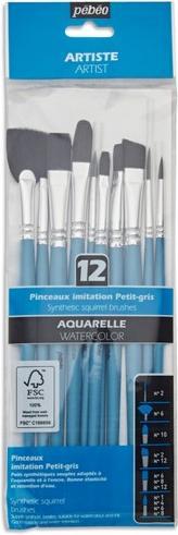 Actual product image Pebeo 12 different aqua brushes