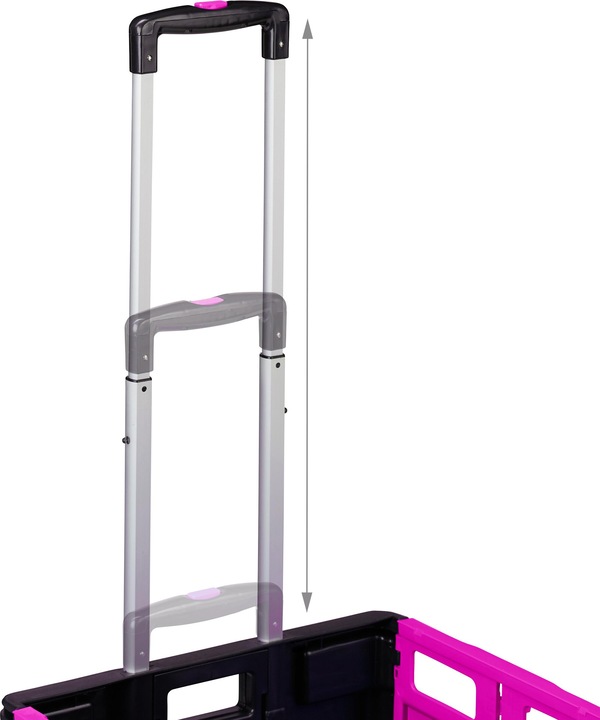 Immagine prodotto Relaxdays Carrello della spesa