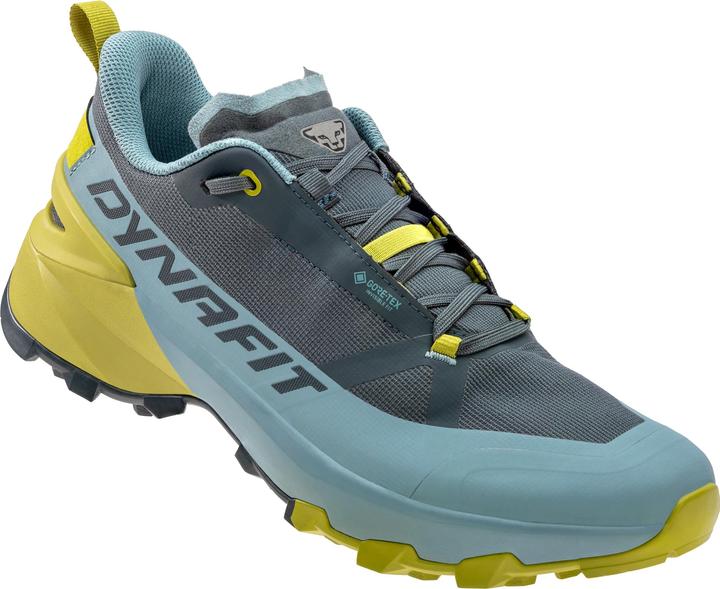 Produktbild Dynafit Transalper 2 GTX (46)