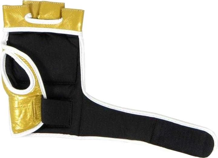 Image du produit Masters - Mitaines MMA (L)