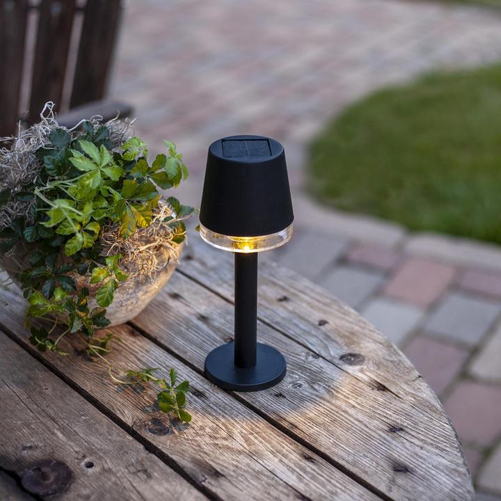 Produktbild Star Trading Solar Dekoration Parvus (IP44)