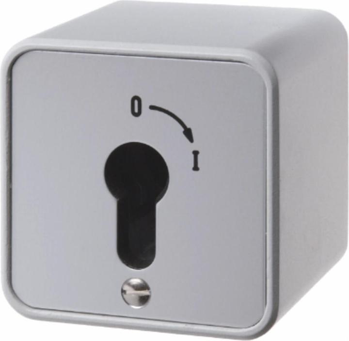 Actual product image Berker Key switch