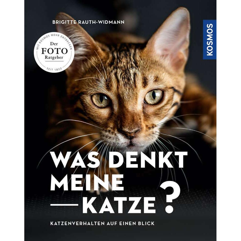 Was denkt meine Katze, Ratgeber von Brigitte Rauth-Widmann