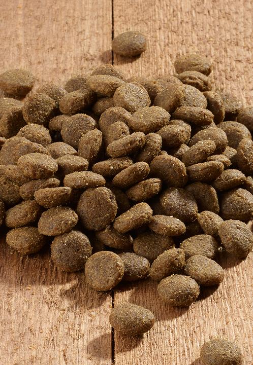 Produktbild Vet Concept Dog Intestinal - 3 kg