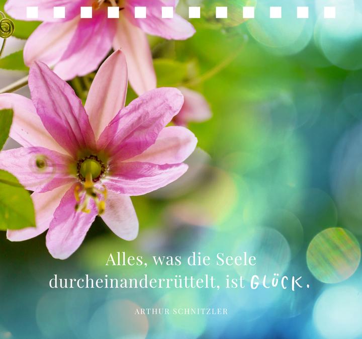 Actual product image Jugend ist aus, aber Prosecco wäre noch da (German, Julia Borchers, 2024)