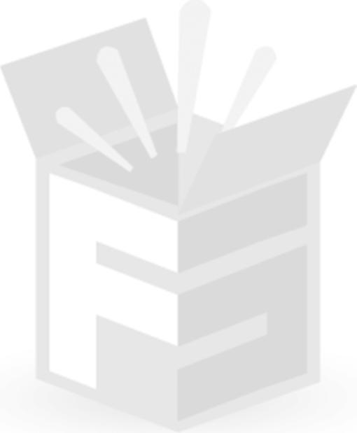 Immagine prodotto Kibernetik Frigorifero per bevande FSP (250 l)