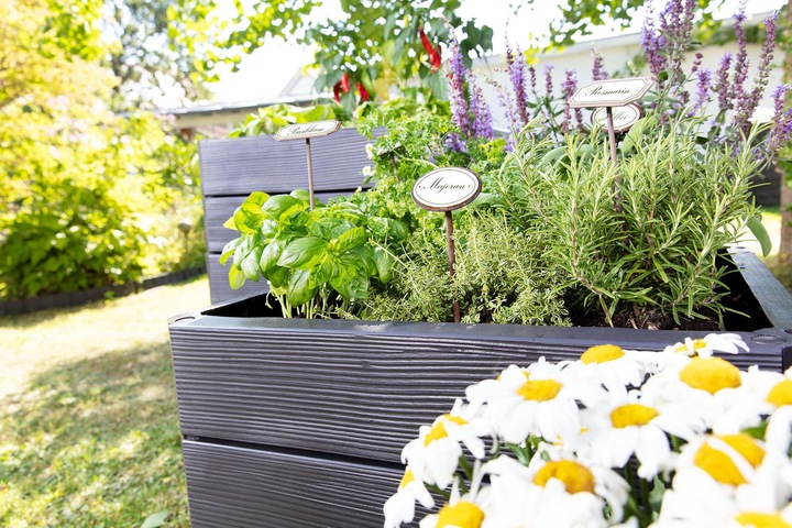 Produktbild Garantia Ergo Quadro
