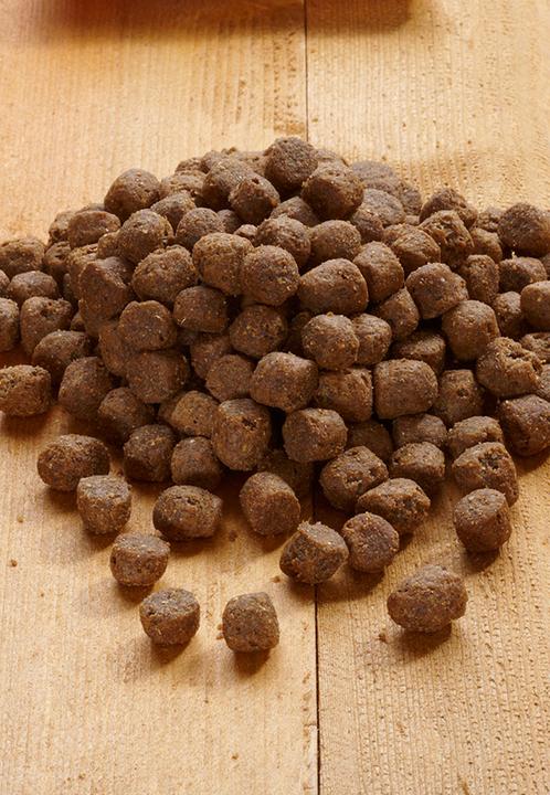 Produktbild Vet Concept Young Pack Maxi - 5 kg