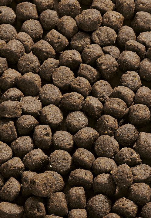 Produktbild Vet Concept Young Pack Sensitive Maxi - 15 kg