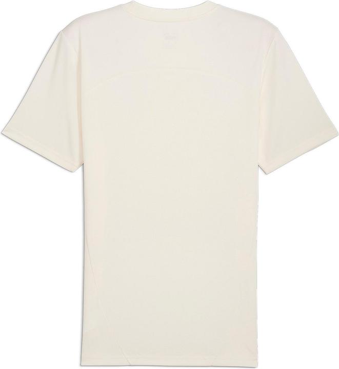 Produktbild Puma FCSP Training Jersey (XXL)