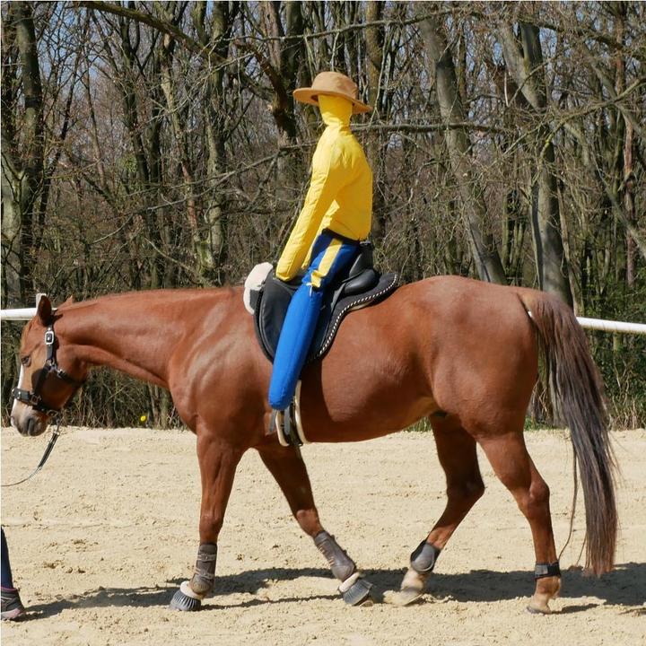 Immagine prodotto Dönges Pferdinand