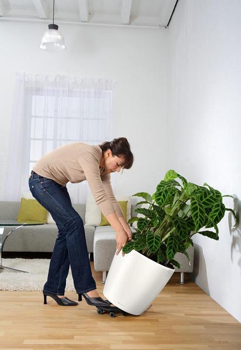 Image du produit Lechuza Classico (49.50 x 46.50 cm)