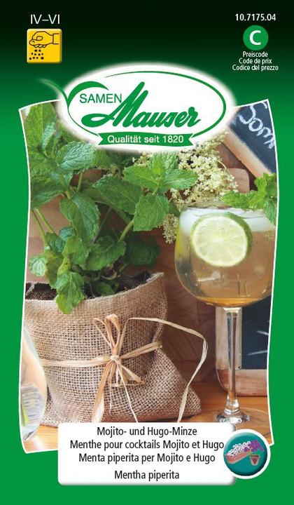 Actual product image Samen Mauser Mojito and Hugo Mint (Herb seeds)