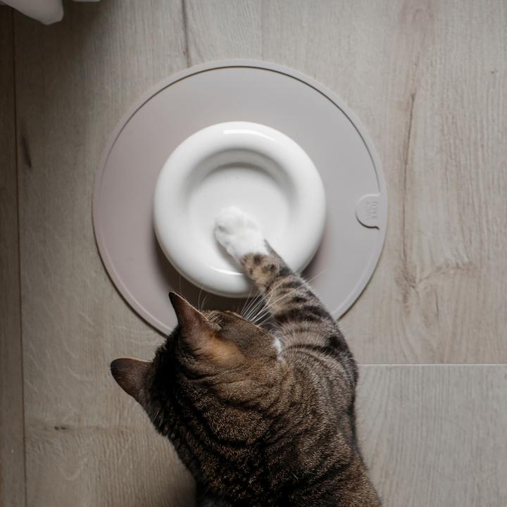 Image du produit LucyBalu DROP Katzennapf