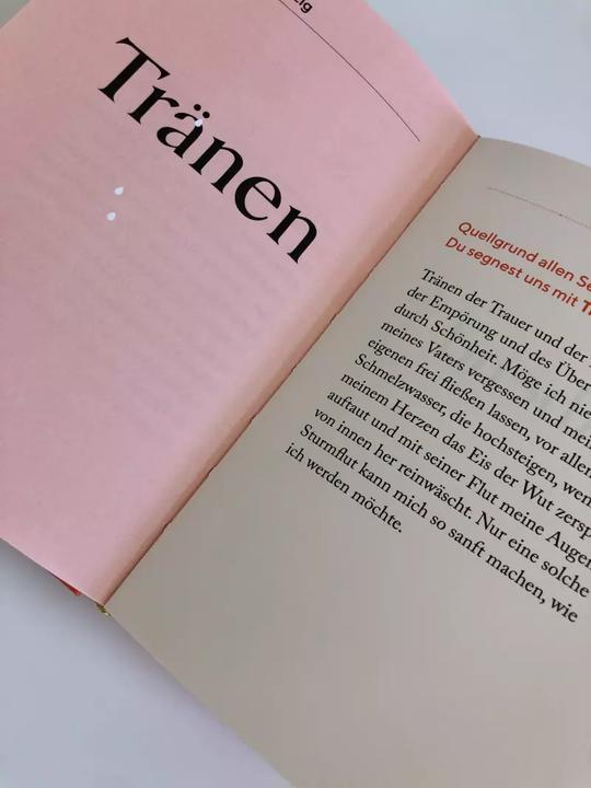 Immagine prodotto Die Kraft des Staunens (Tedesco, David Steindl-Rast, 2022)