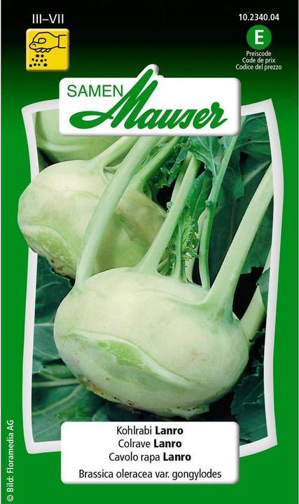 Image du produit Samen Mauser Chou-rave Lanro (Graines de légumes)