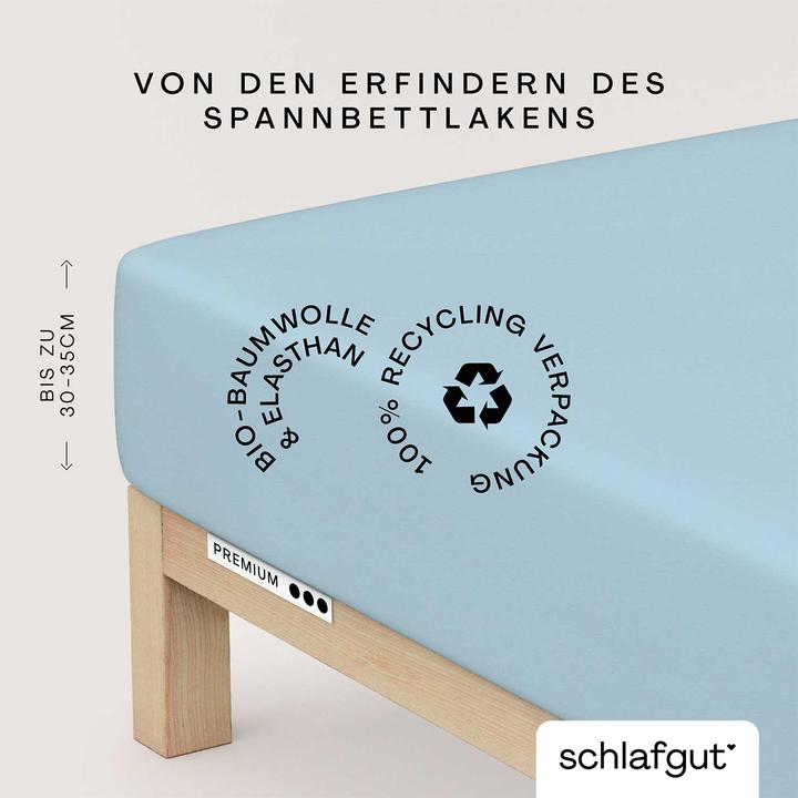 Produktbild schlafgut Premium (120 x 200 - 130 x 220 cm)