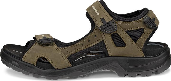 Olive, Vert foncé