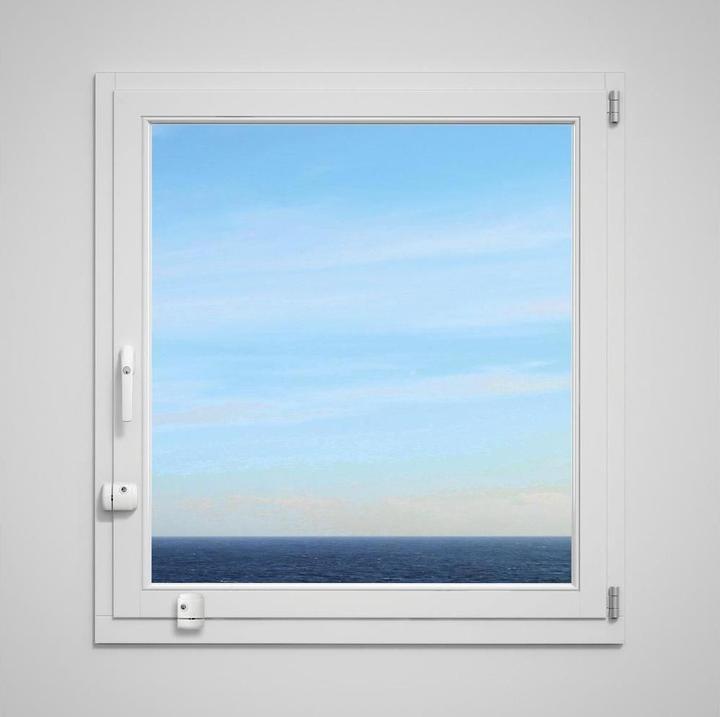 Immagine prodotto Abus Paket FeSi 3 W DFNLI