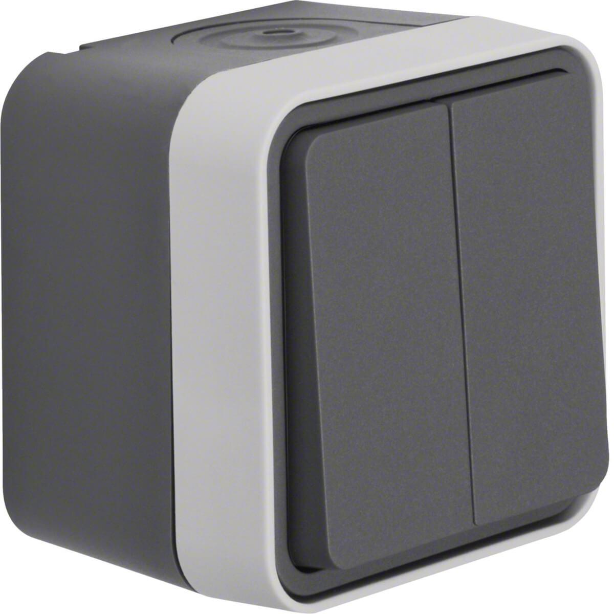 Berker Pulsante Seriale, Pulsante + Interruttore, Grigio