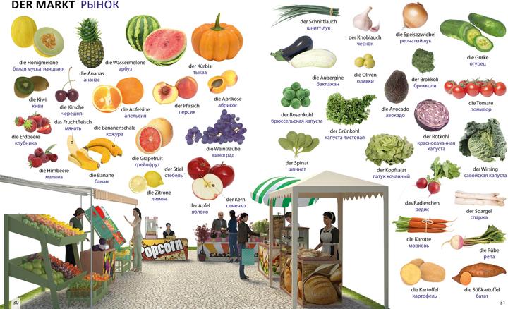 Produktbild Bildwörterbuch für Kinder und Eltern Russisch-Deutsch (Deutsch, Igor Jourist, 2016)