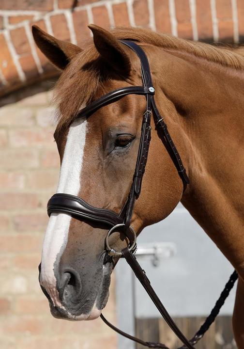 Premier Equine Bridle Verdura anatomical