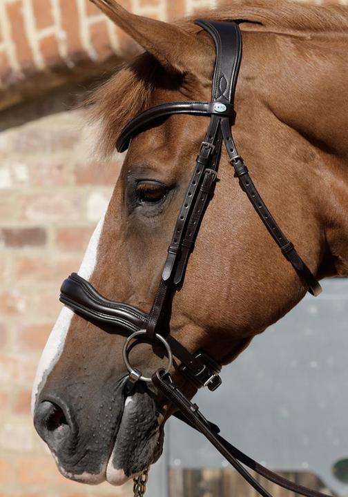 Actual product image Premier Equine Bridle Verdura anatomical