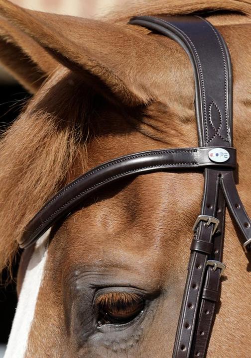 Actual product image Premier Equine Bridle Verdura anatomical