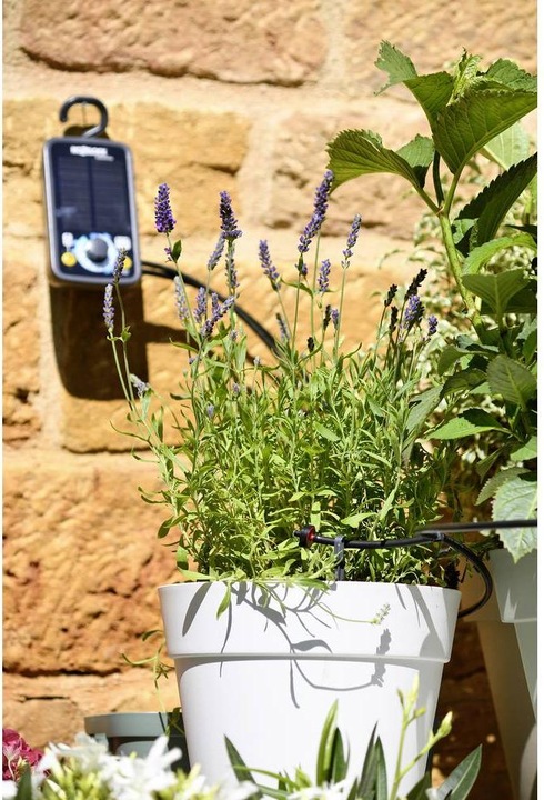 Produktbild Hozelock 100-101-033 Blumenkastenbewässerung (Bewässerungsuhr)