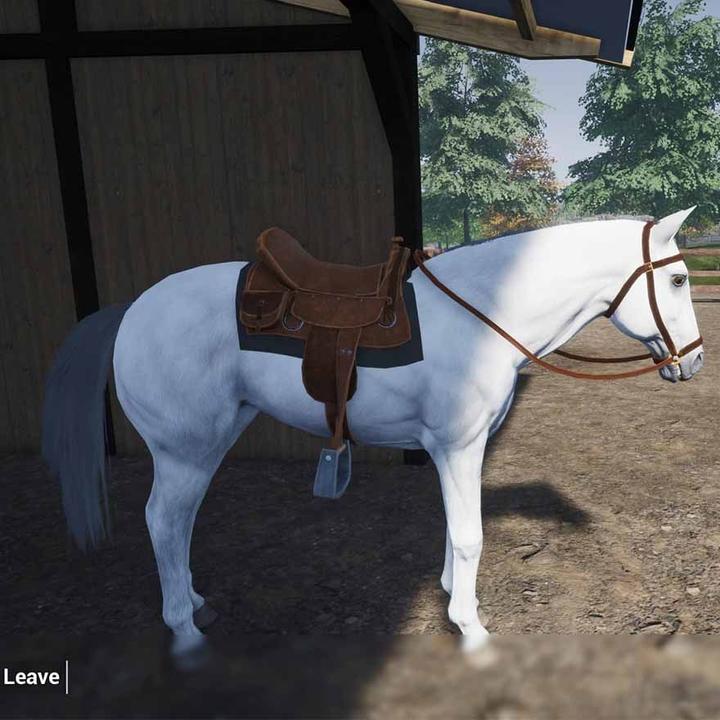 Image du produit Mindscape My Life : Farm Vet (Switch) (Switch, Switch Lite, Switch OLED)