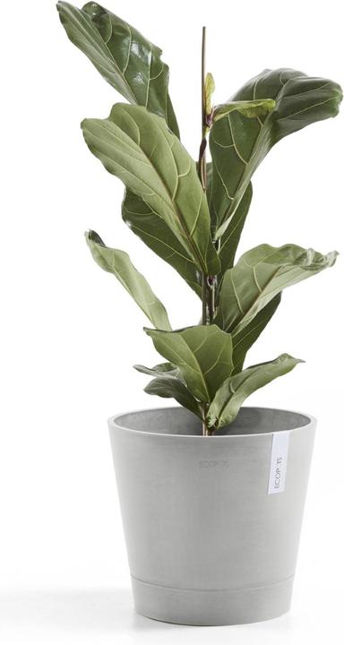 Produktbild Ecopots Venice (40 x 35 cm)