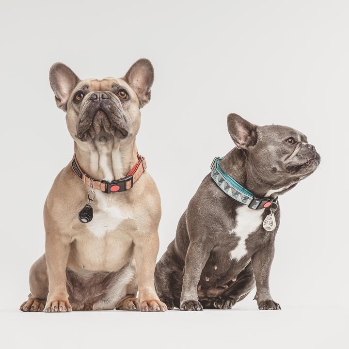 Image du produit Tickless Pet