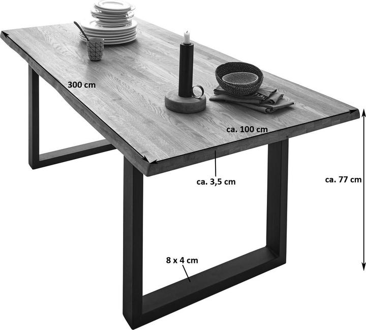 Produktbild SAM Richard (300 x 100 x 77 cm)