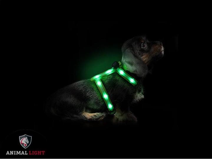Actual product image Animal Light Luminous (S, Dog, General)