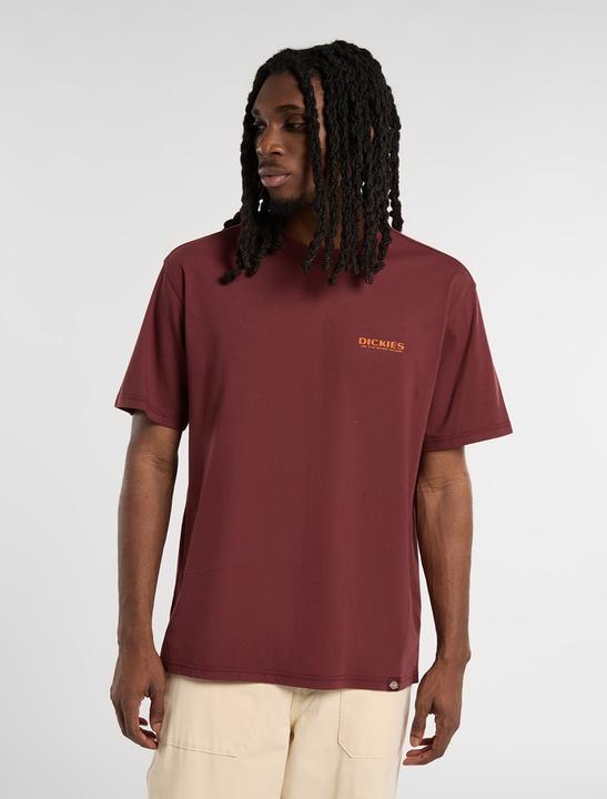 Actual product image Dickies Burns Tee SS (L)